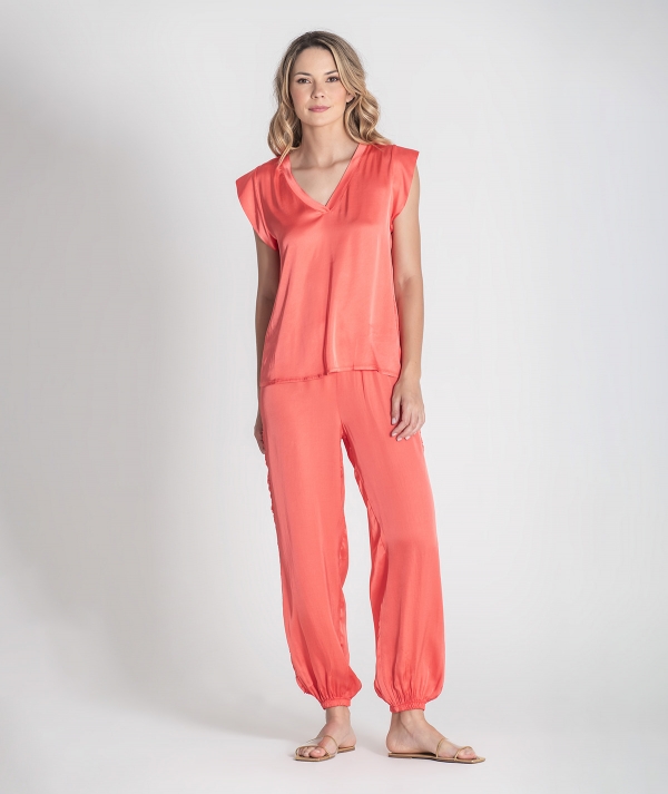 V-neck blouse
